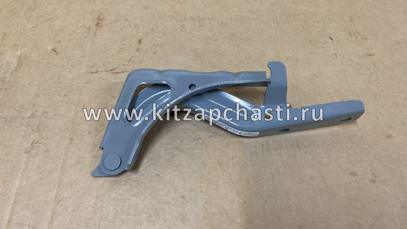 ПЕТЛЯ КАПОТА ЛЕВАЯ EXEED TXL 553000025AADYJ SCHNIEDER CH23368