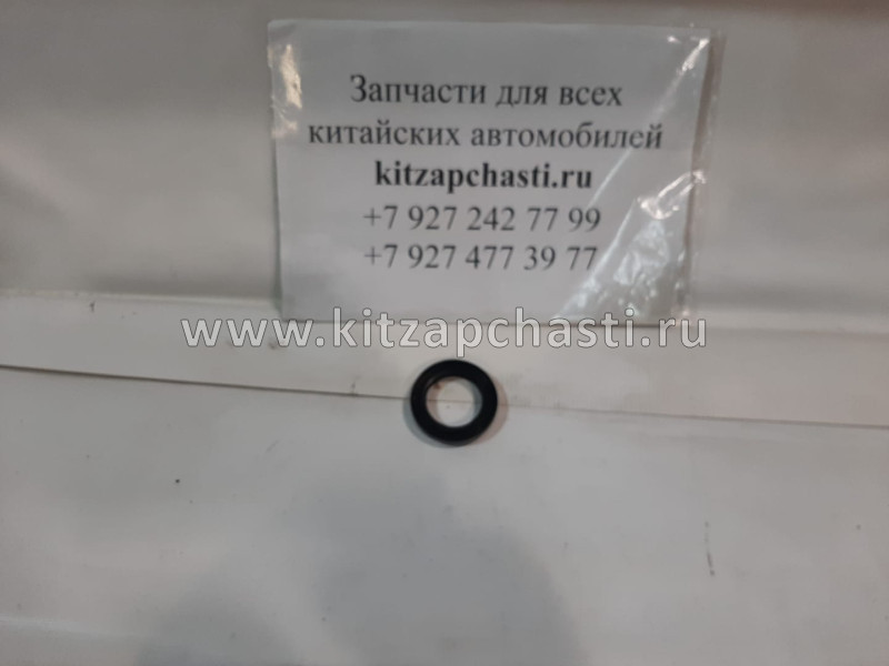 САЛЬНИК ЗАДНЕГО РЕДУКТОРА Chery Tiggo FL,Vortex Tingo FL QR523-T2402241